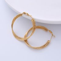 1 Pair Simple Style Solid Color Plating 304 Stainless Steel 18K Gold Plated Earrings main image 5