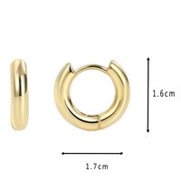 1 Pair Punk Simple Style Classic Style Solid Color Plating Copper 18k Gold Plated Hoop Earrings main image 4