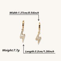 1 Pair Casual Elegant Retro Lightning Plating Inlay Stainless Steel Resin 18k Gold Plated Drop Earrings main image 4