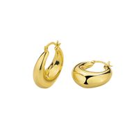 Wholesale Jewelry Simple Style Geometric Copper Alloy Polishing Plating Hoop Earrings main image 5