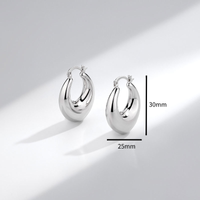 Wholesale Jewelry Simple Style Geometric Copper Alloy Polishing Plating Hoop Earrings main image 2