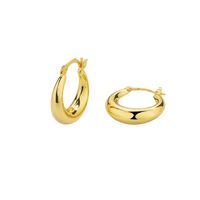 Wholesale Jewelry Ig Style French Style Simple Style Solid Color Copper Alloy Gold Plated Polishing Plating Hoop Earrings main image 5