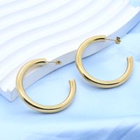 1 Pair Ig Style Simple Style Geometric Stainless Steel 18k Gold Plated Ear Studs main image 4