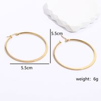 1 Piece Fashion Circle Plating 201 Stainless Steel 18K Gold Plated Earrings main image 5