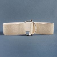 Simple Style Solid Color Elastic Band Women's Corset Belts sku image 8