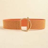 Simple Style Solid Color Elastic Band Women's Corset Belts sku image 17