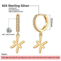 1 Pair Simple Style Classic Style Constellation Plating Inlay Copper Zircon 14k Gold Plated Drop Earrings main image 3