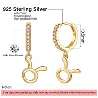 1 Pair Simple Style Classic Style Constellation Plating Inlay Copper Zircon 14k Gold Plated Drop Earrings main image 4