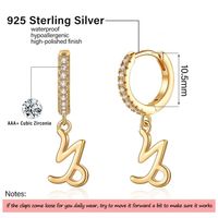 1 Pair Simple Style Classic Style Constellation Plating Inlay Copper Zircon 14k Gold Plated Drop Earrings main image 5