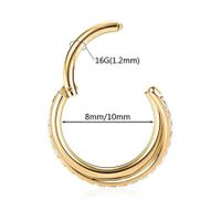 1 Piece Nordic Style Roman Style British Style Solid Color Plating Inlay Carving Stainless Steel Titanium Steel Zircon 18k Gold Plated Gold Plated Earrings main image 5