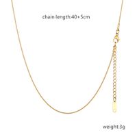 Simple Style Streetwear Solid Color Stainless Steel Plating Necklace sku image 5