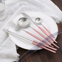 Casual Solid Color Stainless Steel Tableware 1 Piece main image 4