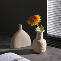 Style Simple Irrégulier Céramique Vase Décorations Artificielles main image 5