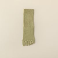 Women's Simple Style Solid Color Cotton Crew Socks A Pair sku image 4