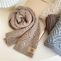 Women's Simple Style Commute Solid Color Polyester Scarf main image 5