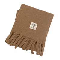 Women's Simple Style Commute Solid Color Imitation Cashmere Tassel Scarf main image 5