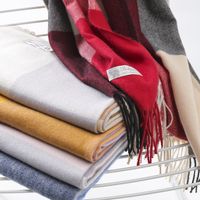 Women's Casual Simple Style Color Block Imitation Cashmere Tassel Scarf main image 4