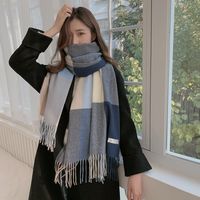 Women's Casual Simple Style Color Block Imitation Cashmere Tassel Scarf main image 3