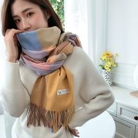 Women's Casual Simple Style Color Block Imitation Cashmere Tassel Scarf main image 1