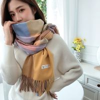 Women's Casual Simple Style Color Block Imitation Cashmere Tassel Scarf main image 5