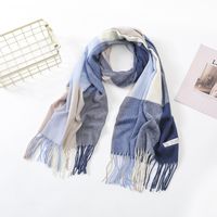 Women's Casual Simple Style Color Block Imitation Cashmere Tassel Scarf main image 2