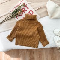Simple Style Solid Color Polyacrylonitrile Fiber Hoodies & Sweaters sku image 1