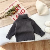 Simple Style Solid Color Polyacrylonitrile Fiber Hoodies & Sweaters sku image 4
