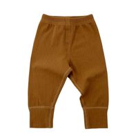 Einfacher Stil Einfarbig Baumwolle Jungen Hosen sku image 1