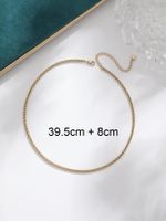 304 Stainless Steel 14K Gold Plated Simple Style Commute Plating Solid Color Necklace main image 2