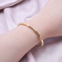 Simple Style Solid Color Stainless Steel Plating Bangle main image 3