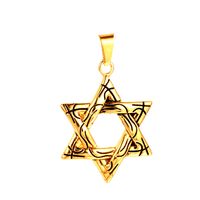 1 Piece Stainless Steel None 18K Gold Plated Star main image 5
