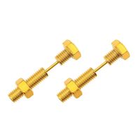 1 Piece Ig Style Punk Cool Style Screw Plating Stainless Steel 18k Gold Plated Ear Studs main image 6