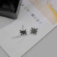 1 Pair Simple Style Star Plating Inlay Copper Zircon White Gold Plated Ear Studs main image 5