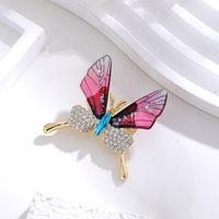 Elegant Cute Dragonfly Butterfly Alloy Inlay Rhinestones Unisex Brooches sku image 21