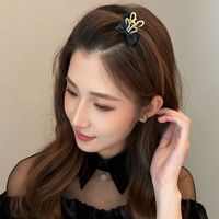 Women's Girl's Cute Sweet Bow Knot Synthetics Alloy Cloth Inlay Hair Claws main image 3