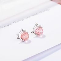 1 Pair Ig Style Cute Cat Crystal Plating Inlay Copper Zircon Ear Studs main image 4