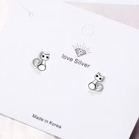1 Pair Cute Cat Plating Inlay Copper Zircon White Gold Plated Ear Studs main image 3