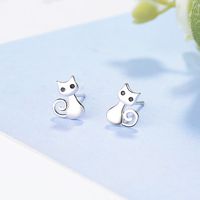 1 Pair Cute Cat Plating Inlay Copper Zircon White Gold Plated Ear Studs main image 1