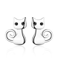1 Pair Cute Cat Plating Inlay Copper Zircon White Gold Plated Ear Studs main image 5