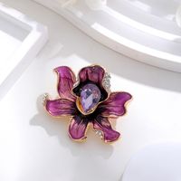 Ig Style Animal Flower Alloy Enamel Inlay Rhinestones Women's Brooches sku image 12