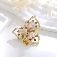 Ig Style Animal Flower Alloy Enamel Inlay Rhinestones Women's Brooches sku image 14