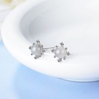 1 Pair Sweet Simple Style Round Inlay Copper Crystal Zircon Ear Studs main image 4