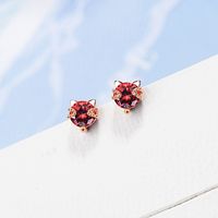 1 Piece Cute Cat Plating Inlay Copper Zircon 24k Gold Plated White Gold Plated Ear Studs main image 3