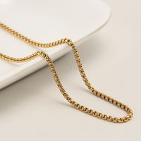 Casual Hip-hop Simple Style Solid Color Stainless Steel Plating Gold Plated Necklace main image 3