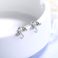 1 Pair Ig Style Simple Style Umbrella Plating Inlay Copper Zircon Ear Studs main image 4