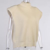 Women's Sweater Sleeveless Sweaters & Cardigans Patchwork Casual Solid Color main image 2