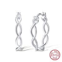 1 Pair Simple Style S Shape Argyle Polishing Plating Sterling Silver Rose Gold Plated White Gold Plated Hoop Earrings sku image 2