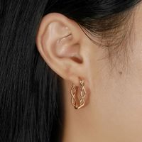 1 Pair Simple Style S Shape Argyle Polishing Plating Sterling Silver Rose Gold Plated White Gold Plated Hoop Earrings main image 6