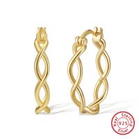 1 Pair Simple Style S Shape Argyle Polishing Plating Sterling Silver Rose Gold Plated White Gold Plated Hoop Earrings main image 3