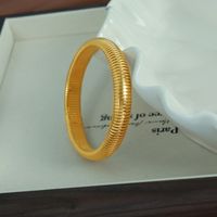 Hip-hop Rock Cool Style Snakeskin Stainless Steel Titanium Steel Plating 18k Gold Plated Wristband Bangle main image 2
